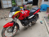 Pulsar135 cc